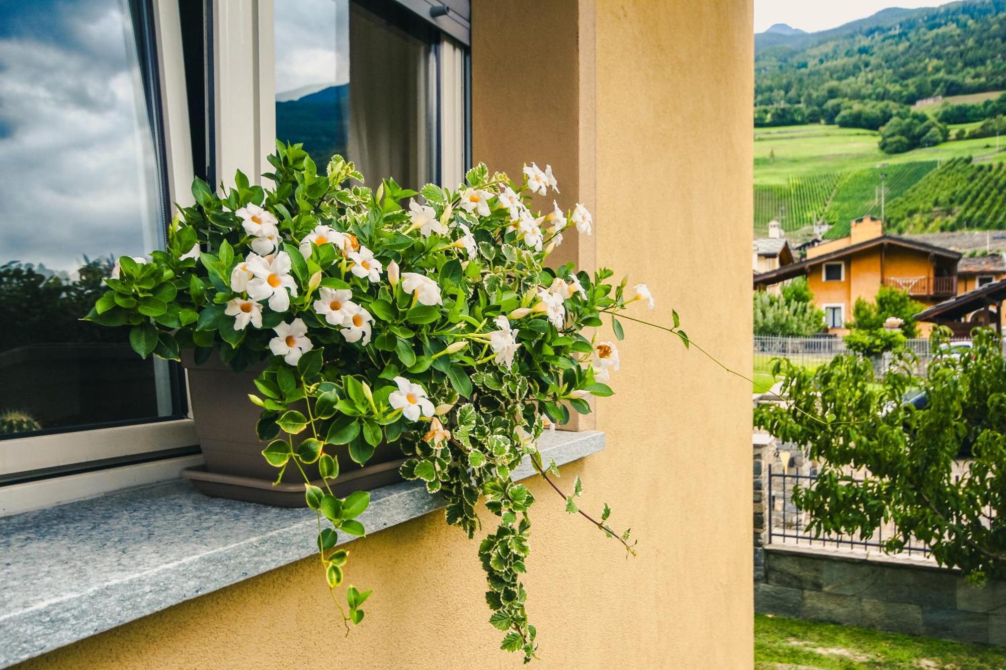 L'Adret Hotel Gressan Eksteriør billede